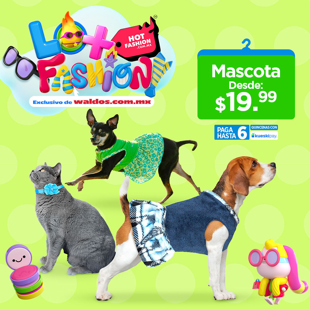 Artículos para mascota
Desde $19.99

Hasta 6 quincenas con KueskiPay